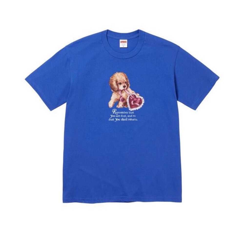 Supreme dust tee
